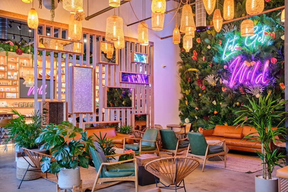 CBD bar, lounge Wild to expand to Montrose in August