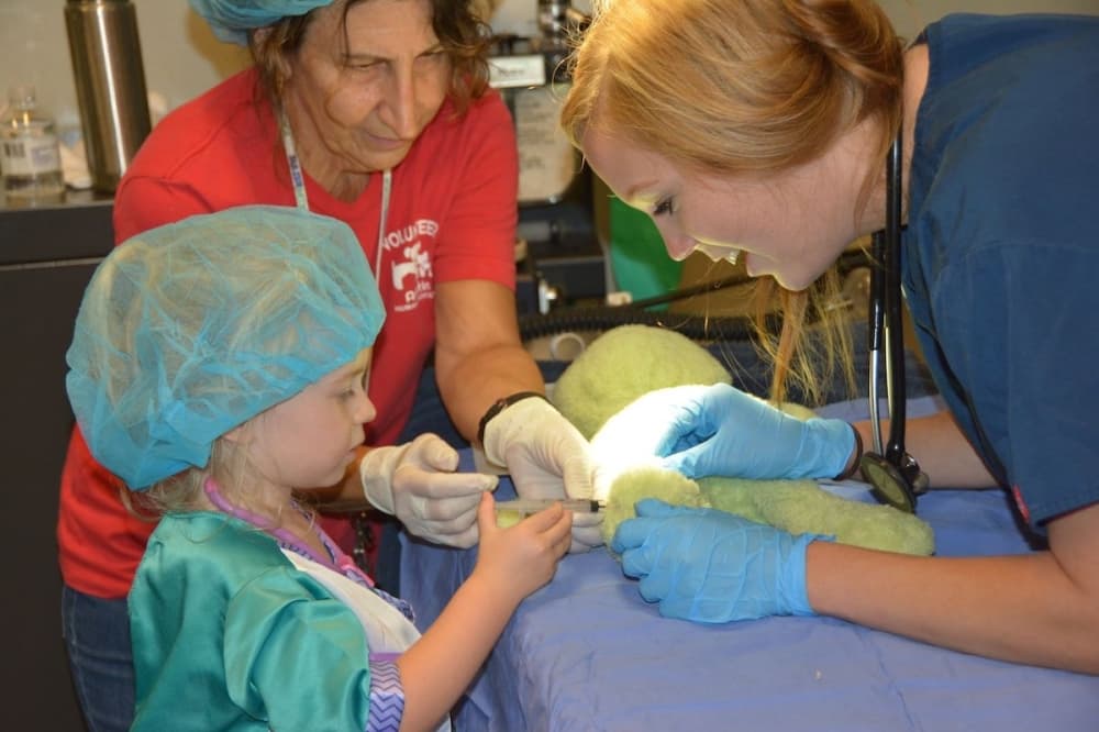 Austin Humane Society to host teddy bear surgery event on June 11