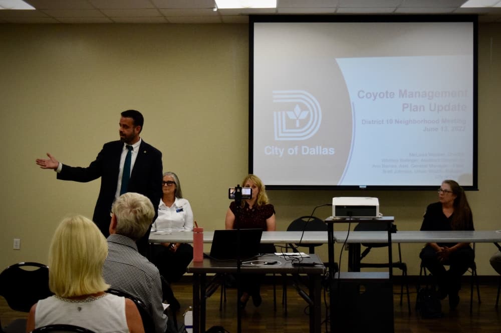 Dallas Animal Services staff share draft of coyote plan with Lake Highlands residents