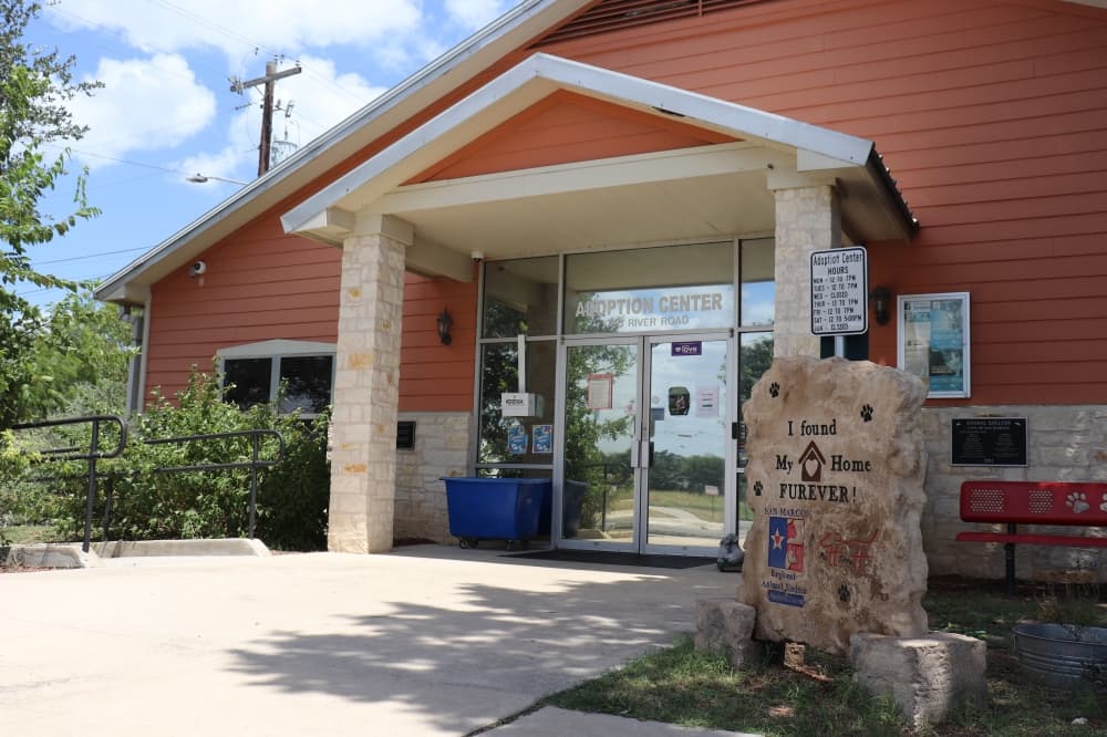 Hays County commissioners receive study findings for potential animal shelter to aid overpopulated San Marcos Regional Animal Shelter