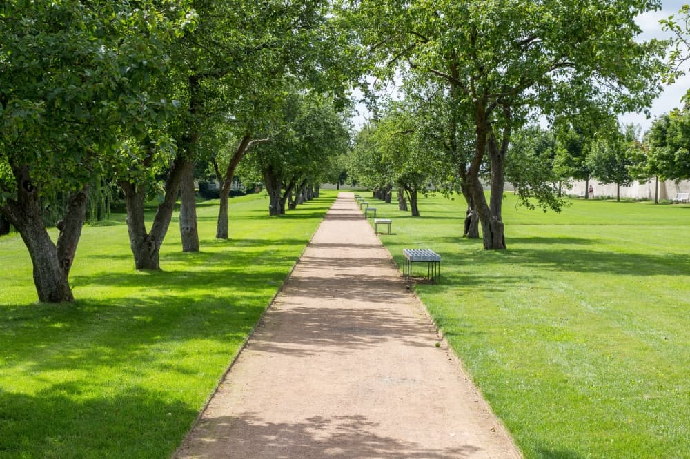 City Council greenlights design of two north Frisco parks