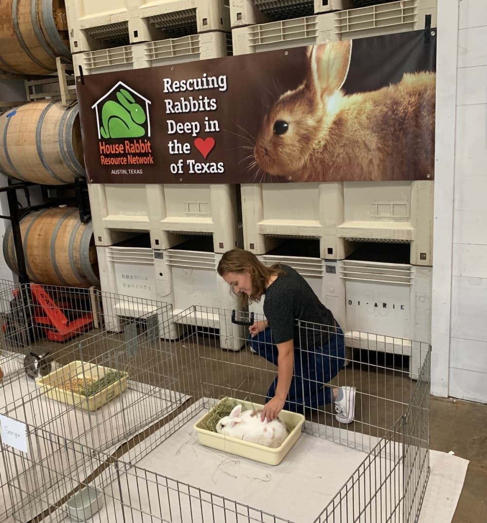 Reds, Whites, and Bunnies (Courtesy Kyle Golden)