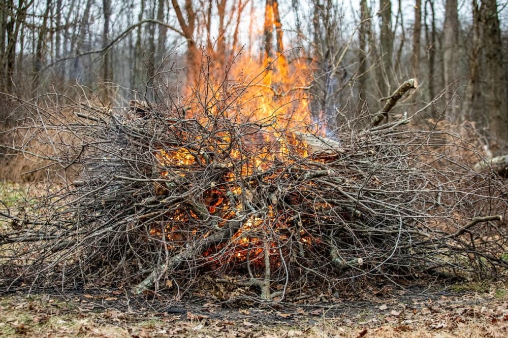 Tarrant County issues 90-day ban on outdoor burning due to severe drought conditions