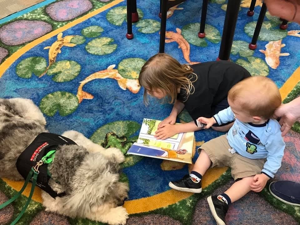Reading to dogs, movies in pools and death-defying stunts: your July to-do list for Round Rock, Pflugerville and Hutto