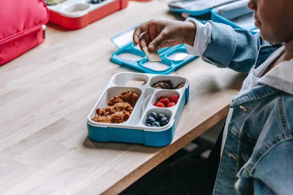 Pearland ISD now taking applications for free, reduced-price lunch