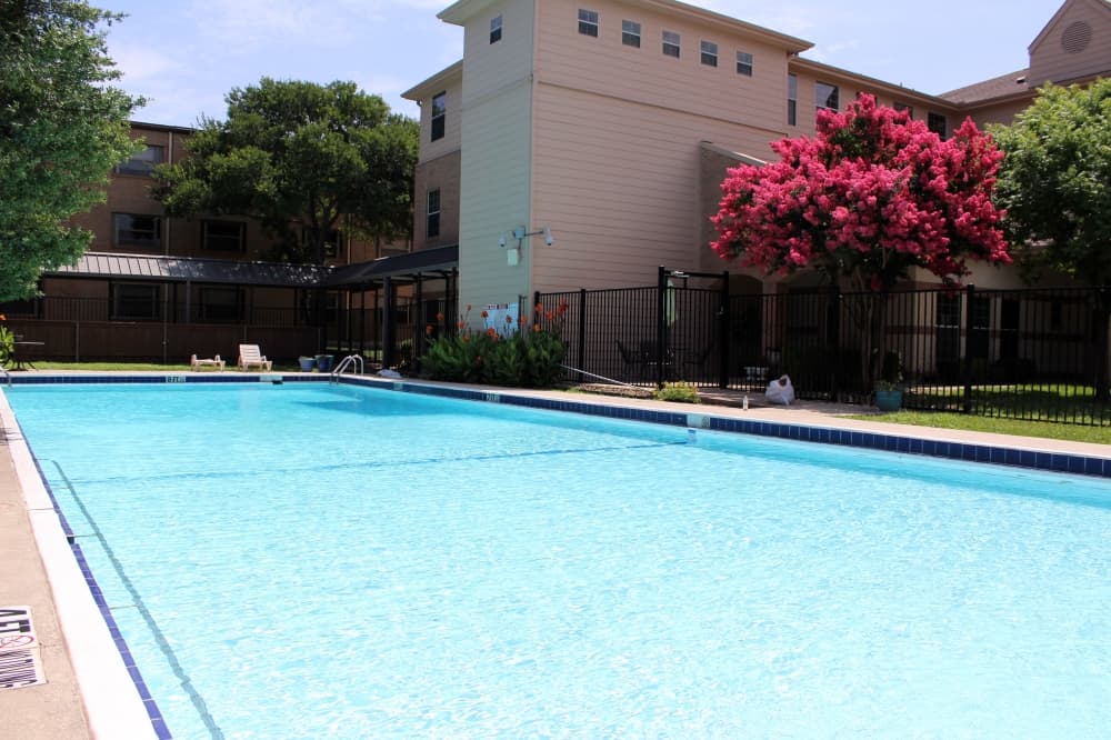 Swimming pool.