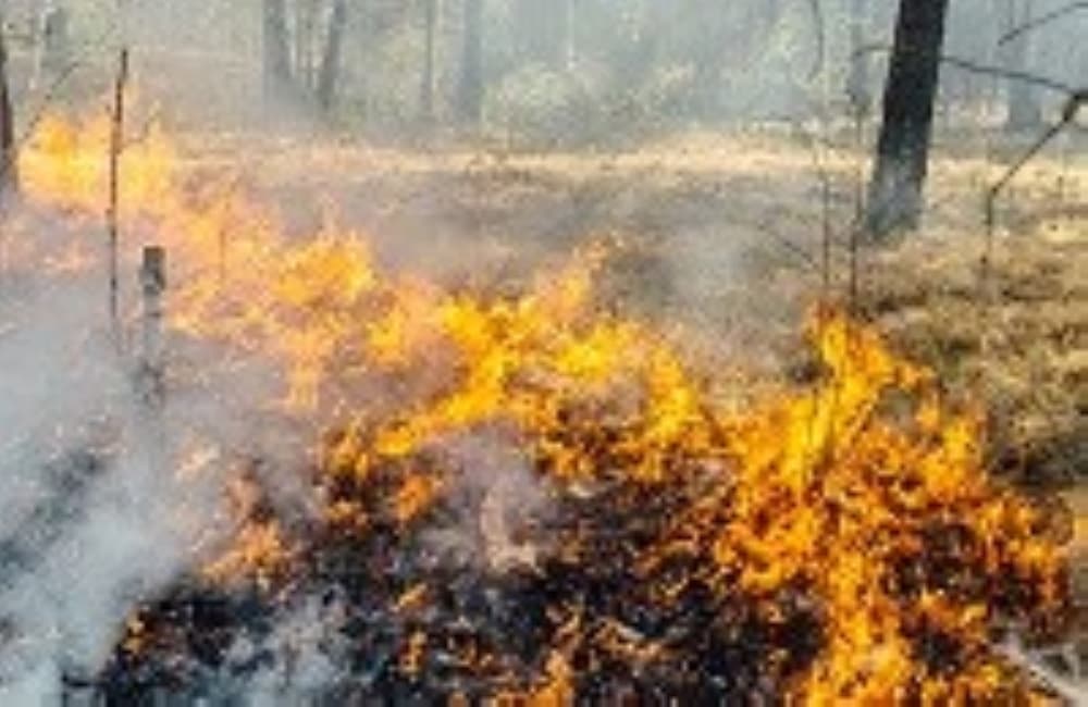 McKinney requires hot work permit during outdoor burn ban
