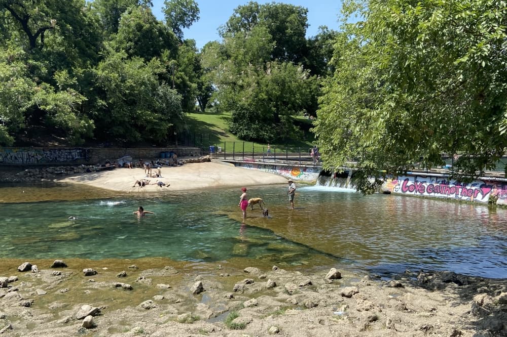 Dog dies after swimming in Barton Creek; city investigates