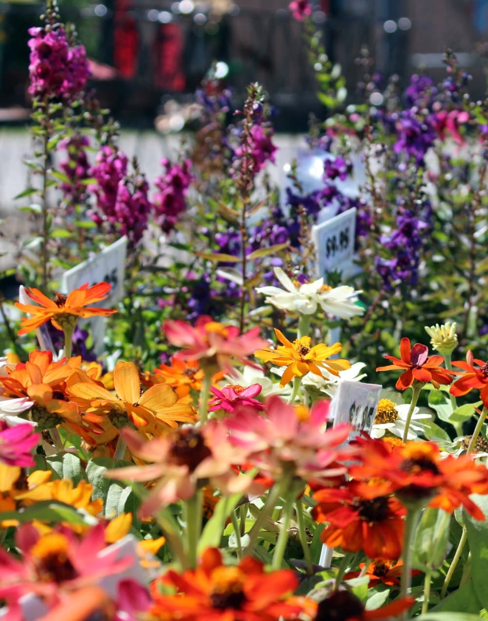 The Millers added yard art, gifts and flowers to their inventory as the city grew. (Karen Chaney/Community Impact Newspaper)