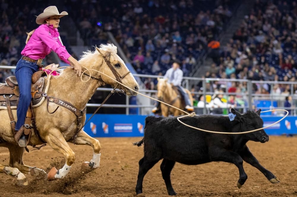 Rodeo Houston announces changes ahead of 2023 competition