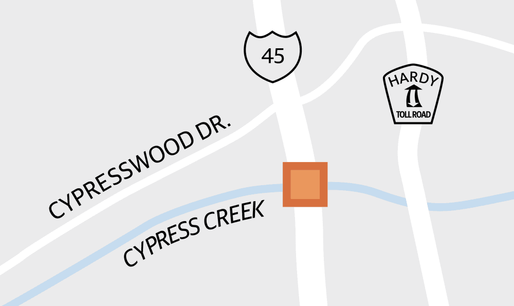 I-45 bridge replacement (Designed by Ronald Winters)