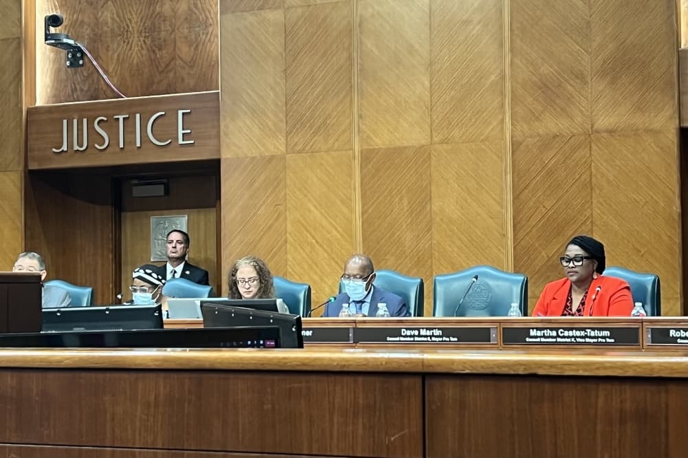 Houston City Council discusses Hispanic voter dilution concern amid redistricting process