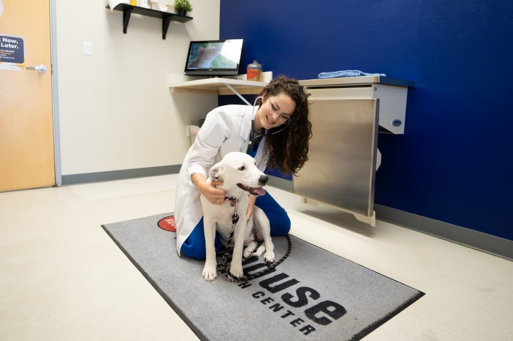 Firehouse Animal Health Center to open location in Northwest Austin