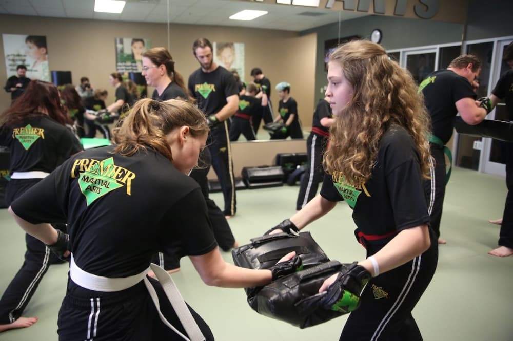 Premier Martial Arts coming soon to Steiner Ranch