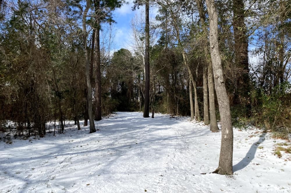 Houston seeking input on Winter Storm Uri draft action plan