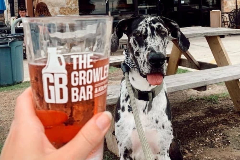 Round Rock and Pflugerville have many pet-friendly establishments