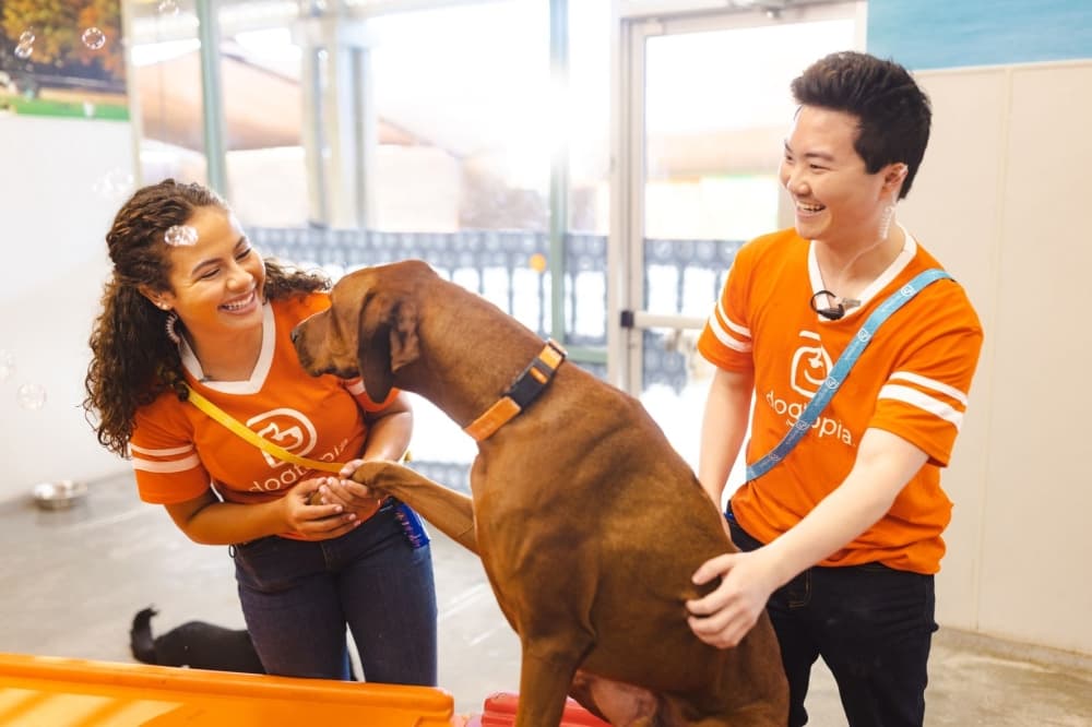 Dogtopia of Atascocita targets September opening