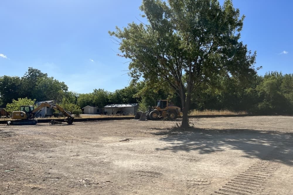 vacant lot with tree