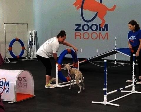 Zoom Room Dog Training coming soon to Highland Village