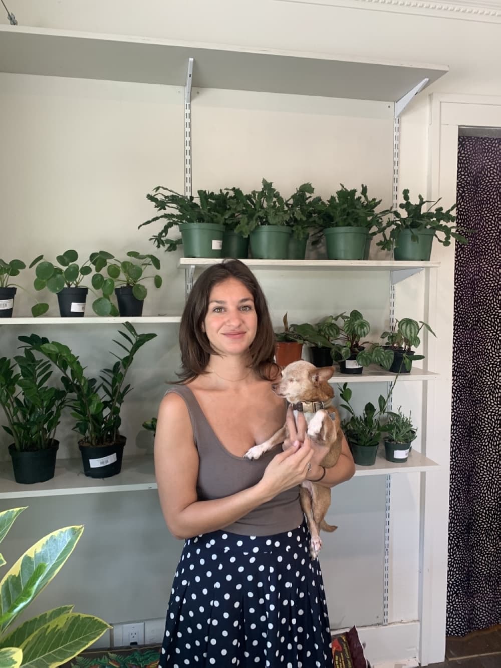 Montrose-based plant shop Dirt Bag grows community