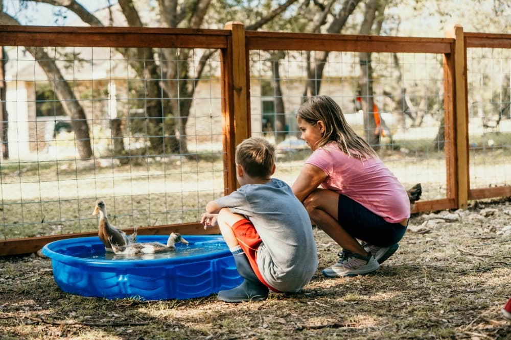 GUIDE: 7 microschools enrolling students in the Cedar Park, Leander, Georgetown areas