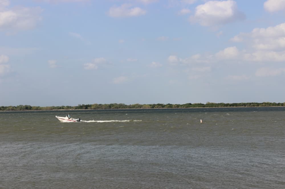 Lewisville officials seek community feedback for proposed Pier 121 Marina project