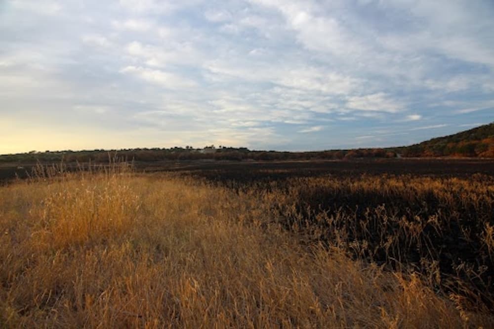 Judge lifts burn ban Aug. 24 for Williamson County