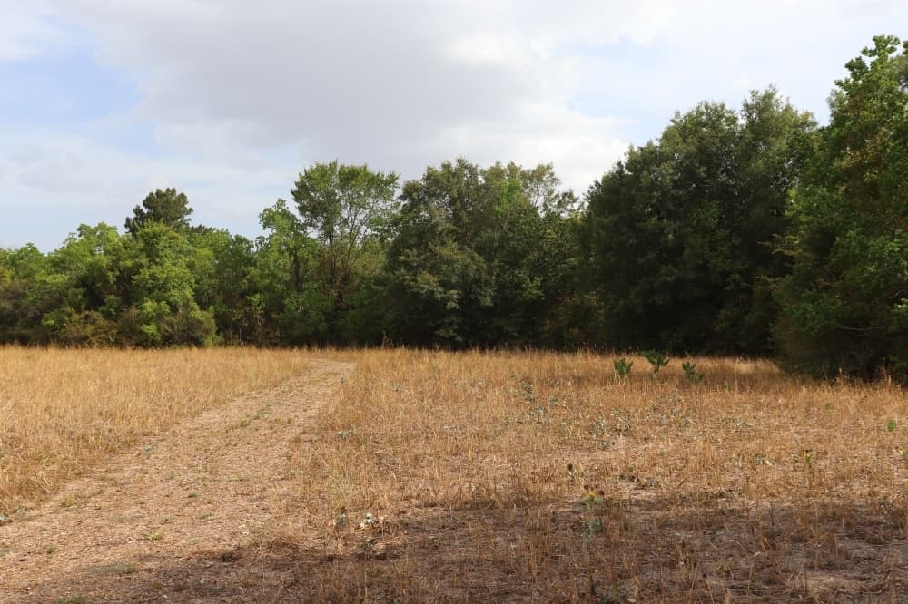 Katy ISD’s ‘student-focused’ Tiger Prairie organizes education initiatives after relocation, drought