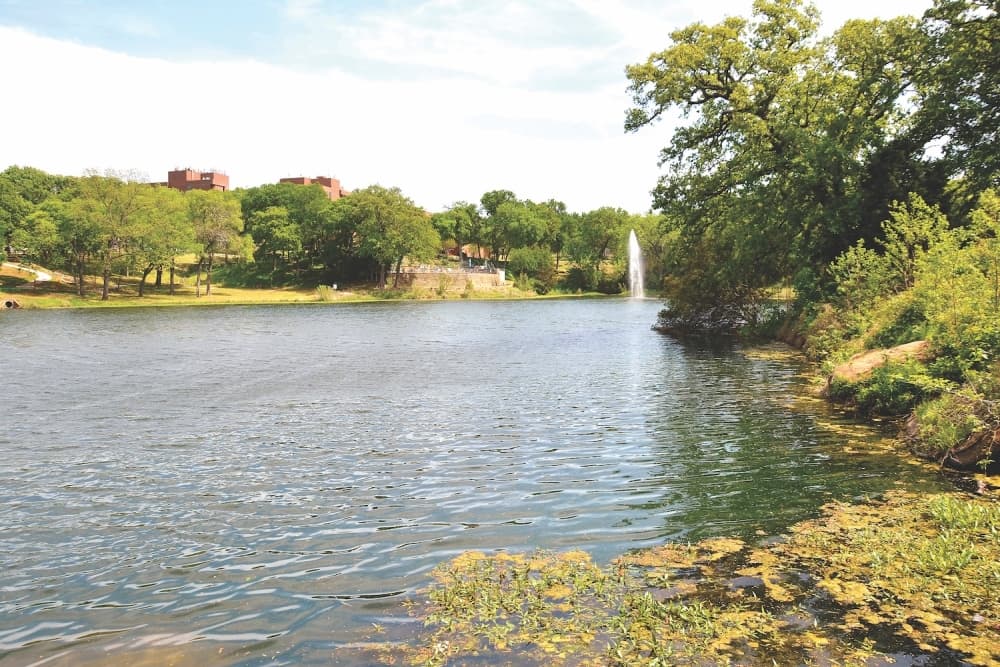Grapevine names new director for Parks and Recreation Department