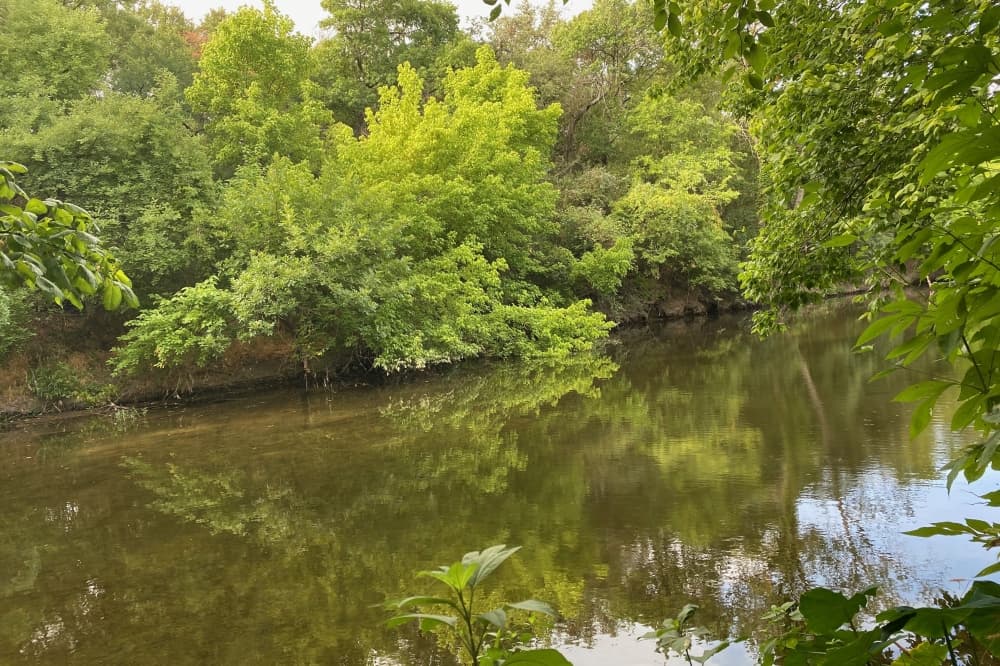 Brushy Creek Trail bridge near Kenney Fort Blvd. closed Sept. 7-9