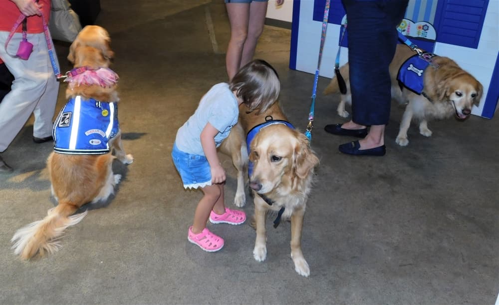9 things do in Sugar Land, Missouri City this fall