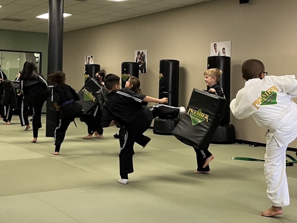 Premier Martial Arts to bring karate, taekwondo, kickboxing and more to Sugar Land