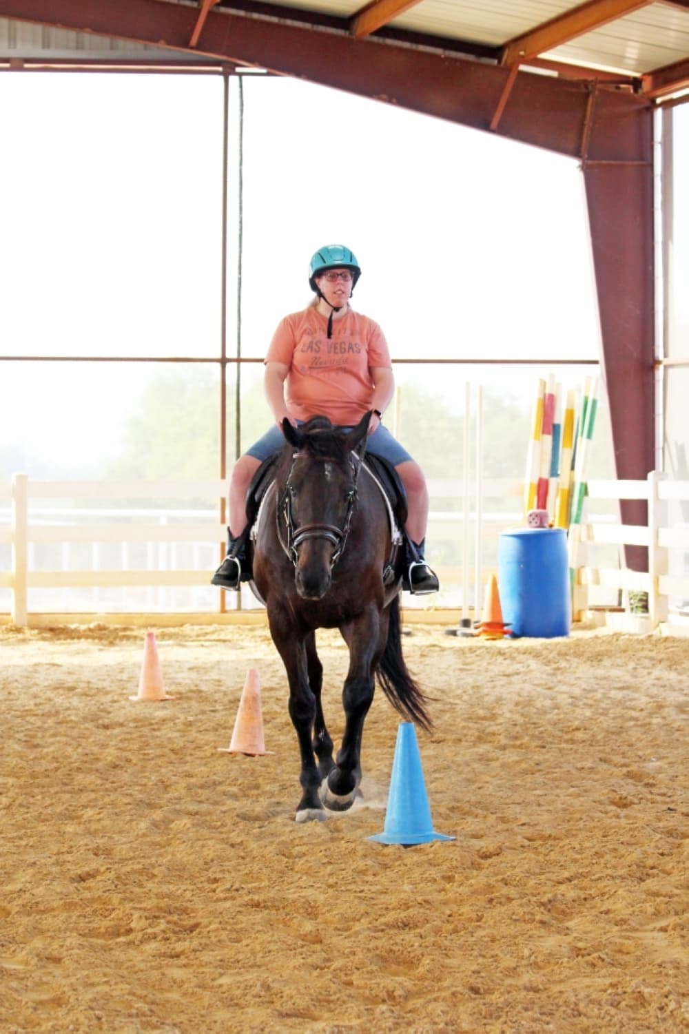 horse