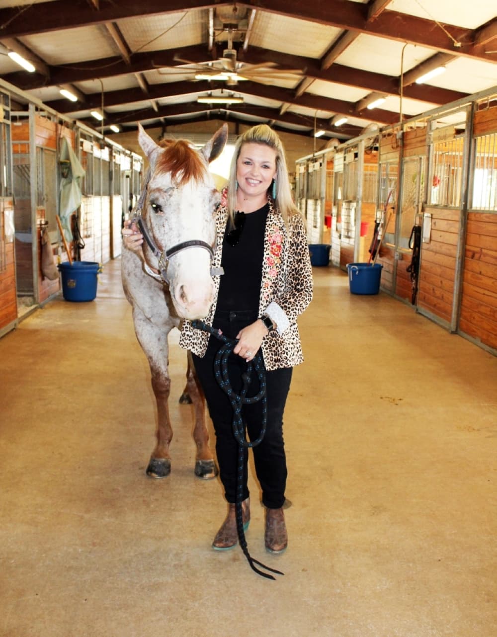 horse, owner