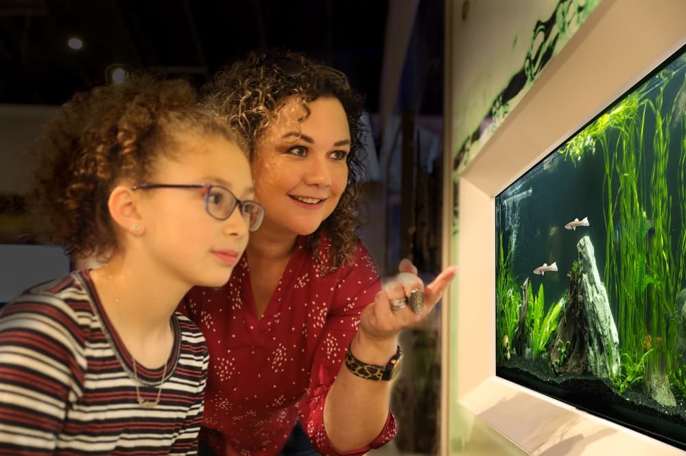 Edwards Aquifer Authority Education Outreach Center welcomes endangered Texas blind salamander, hosts naming contest