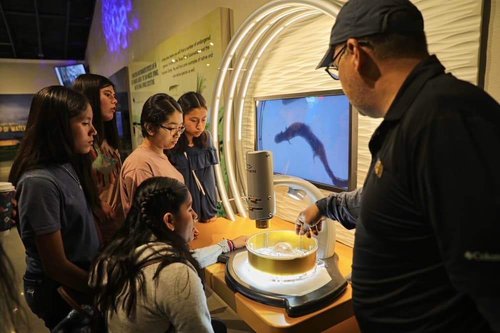 Visitors can get a zoomed in view by using the MicroEye to magnify slides or specimens of species, such as the Comal Springs riffle beetle or Pecks’ cave amphipod. (Courtesy Edwards Aquifer Authority)