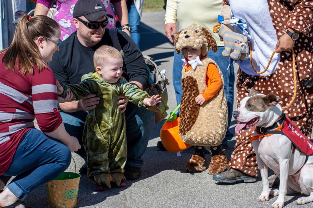 Pumpkin patches, fall events, veterans services & more to check out in Round Rock, Pflugerville & Hutto