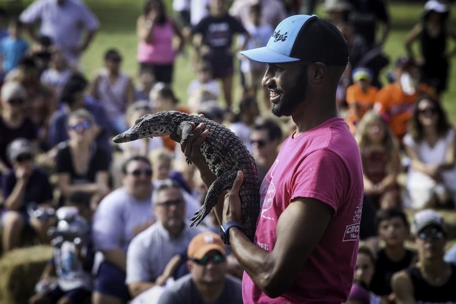 Festivals, fun runs and fundraisers: 27 events happening in Cy-Fair this October