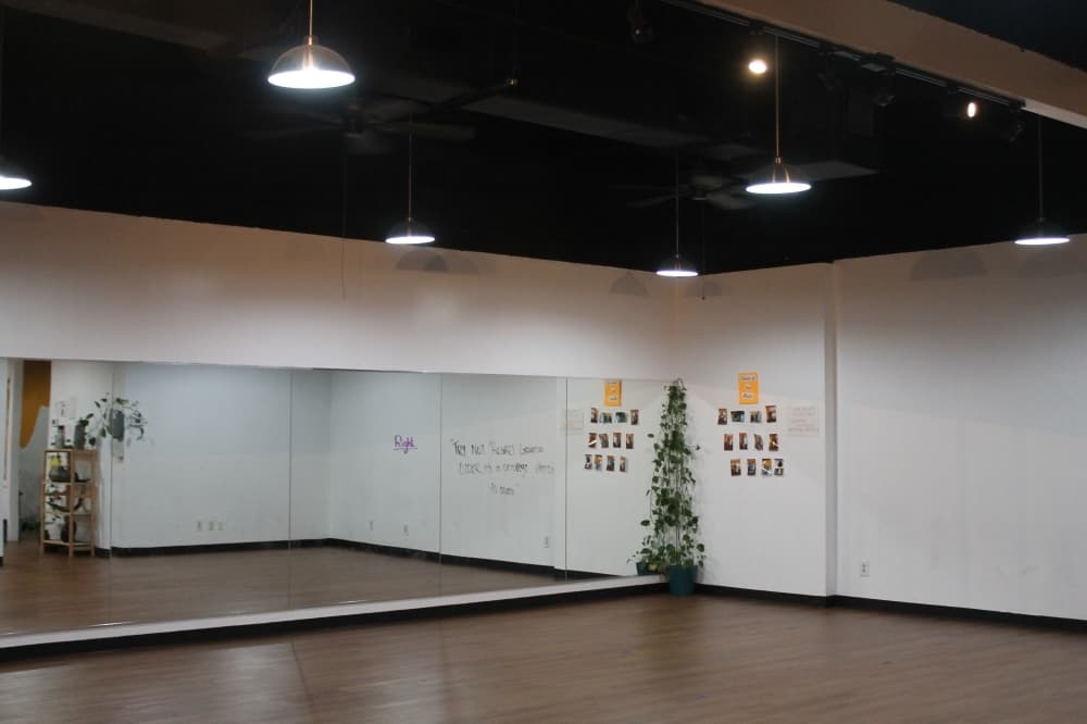 The studio offers yoga, fitness, traditional Indian dance and Bollywood classes. (Renee Farmer/Community Impact Newspaper)