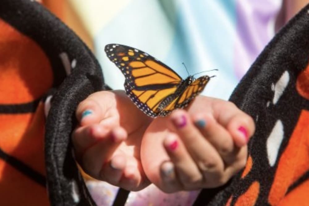 21 things to do in San Antonio Oct. 6-15