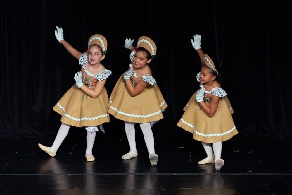 McKinney's Texas Youth Ballet instructor provides training ground for dancers