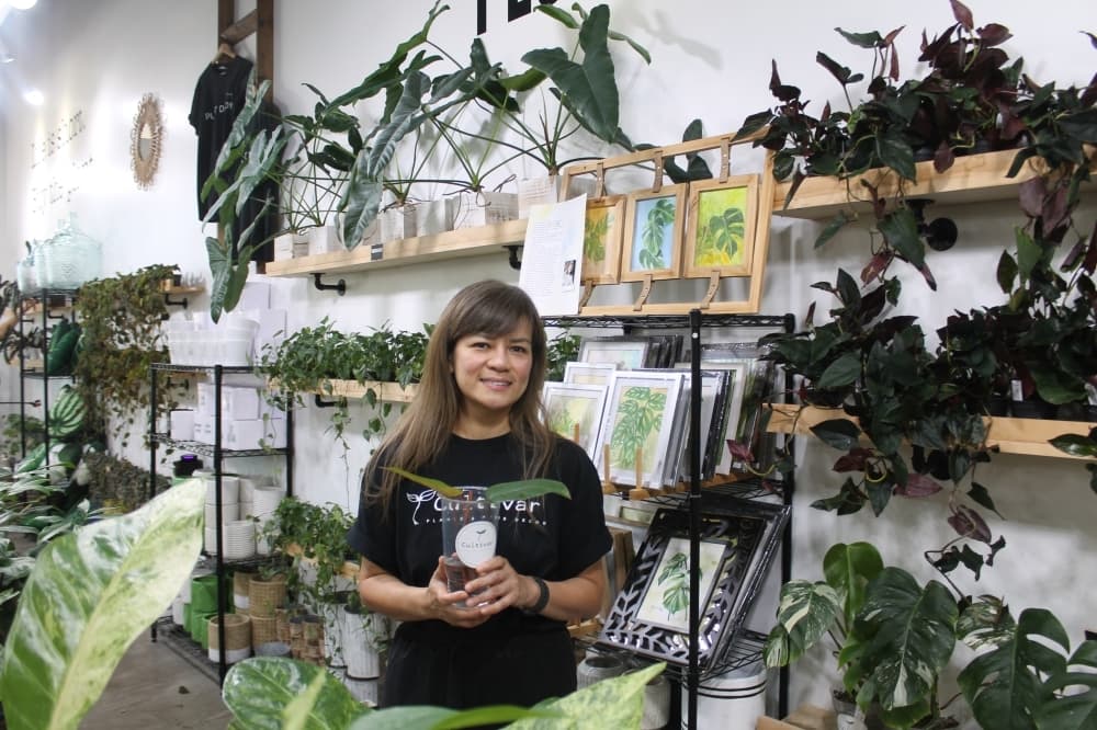 Local plant shop Cultivar brings rare foliage finds to Katy