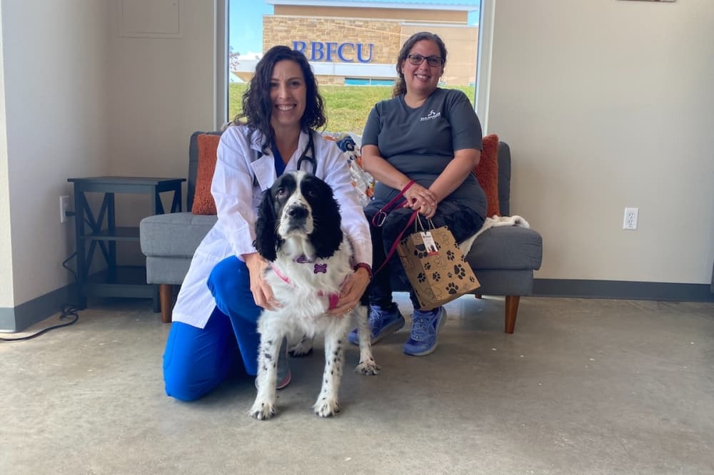 Firehouse Animal Health Center now providing veterinary care to animals in Cedar Park