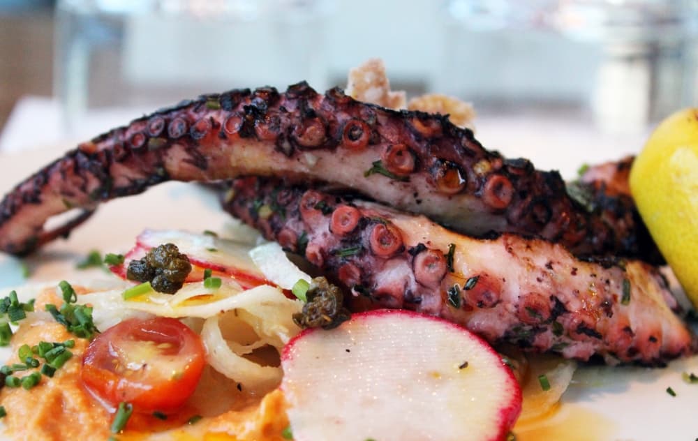 octopus main course