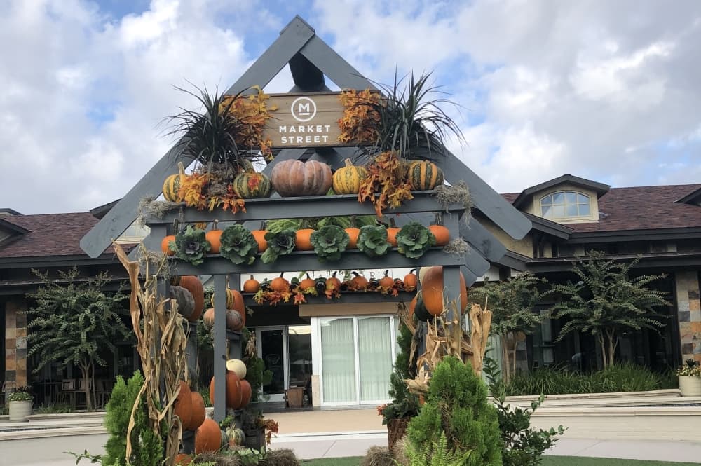 8 ways to spend Halloween weekend in The Woodlands area, Oct. 28-30