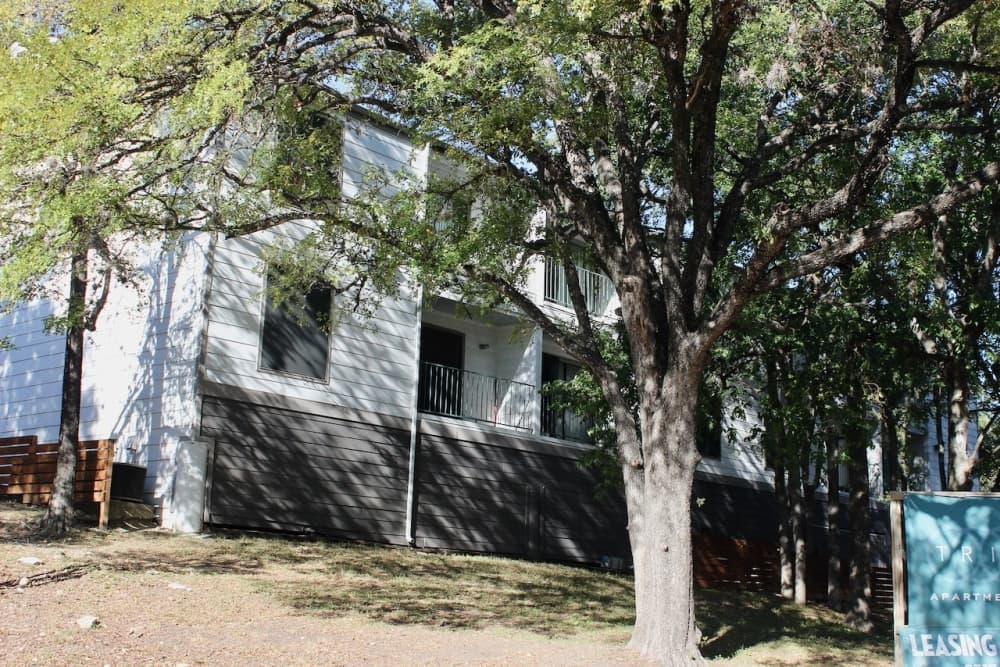 Austin officials set new eviction, organizing protections for city renters