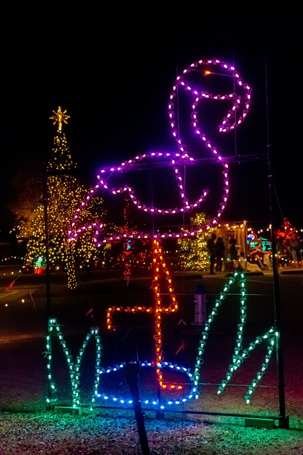 Lights on The Lake will feature a Candy Cane Lane, Frosted Forest, and lighted tunnels, along with holiday displays and Instagrammable spots perfect for holiday pictures. (Town of Little Elm)