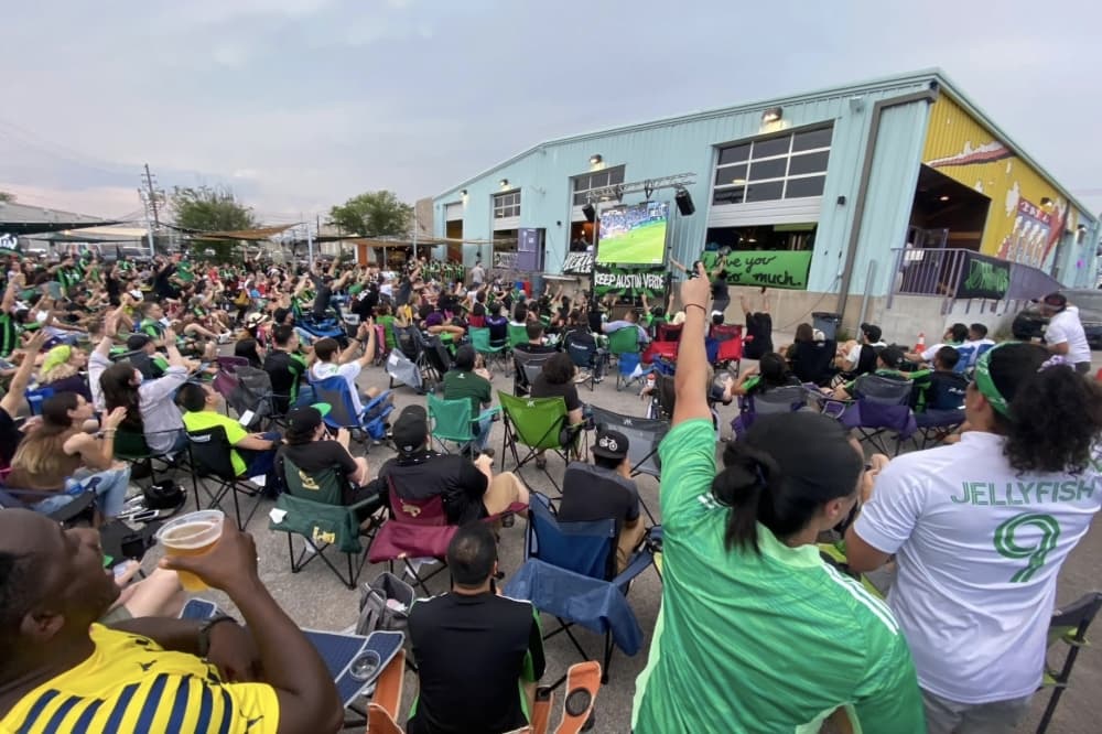 Crowd cheering for a soccer game.