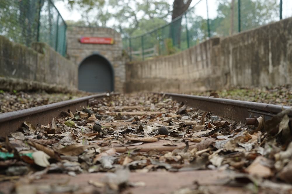 The Zilker Eagle mini train will remain closed for another year