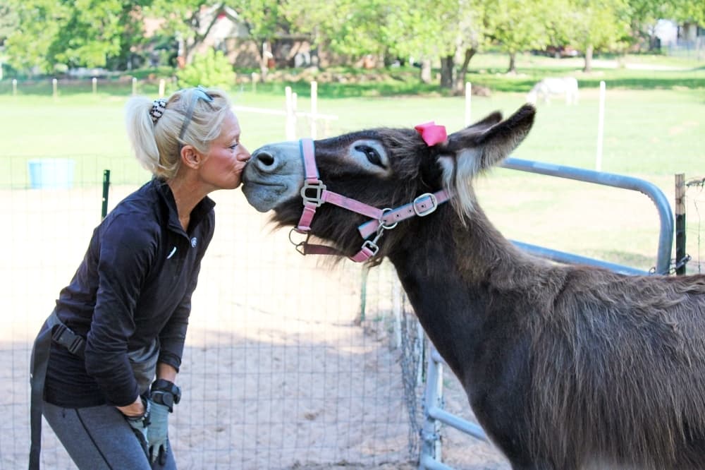 Southlake nonprofit Loving Long Ears Donkey Therapy & Sanctuary mirrors therapy methods popular in Europe